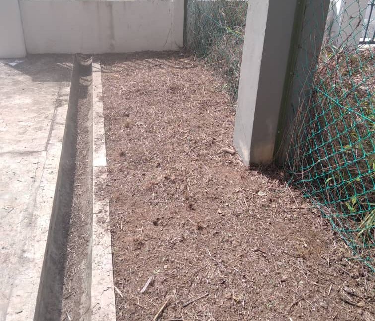 WhatsApp Image 2022-02-06 at 09.08.46 (1)